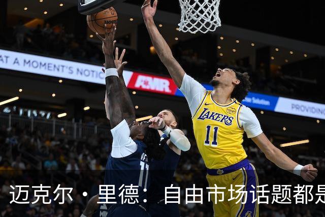 迈克尔·里德：自由市场话题都是关于勒布朗的 多关注一下老将吧